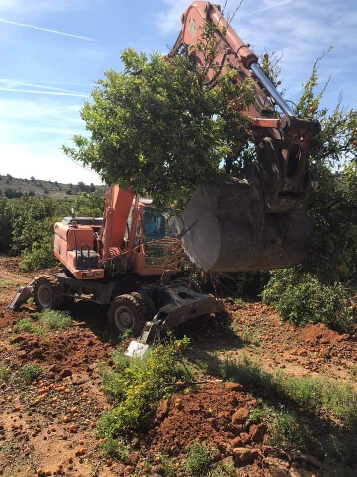 COMPACTACIÓN DE TERRENO